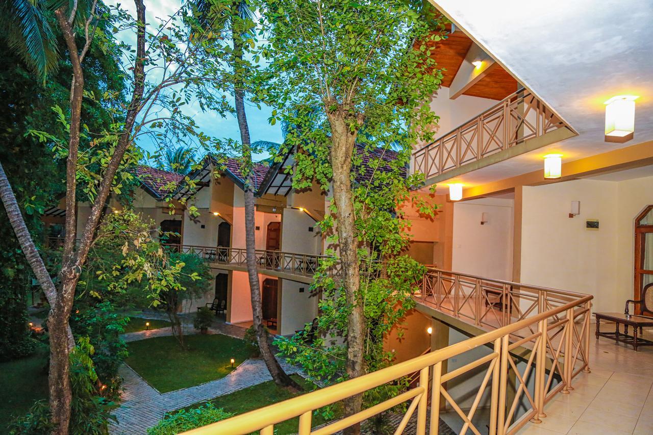 Pelwehera Village Resort Dambulla Exterior foto